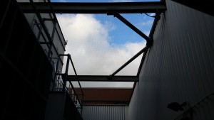 Pigeon Netting