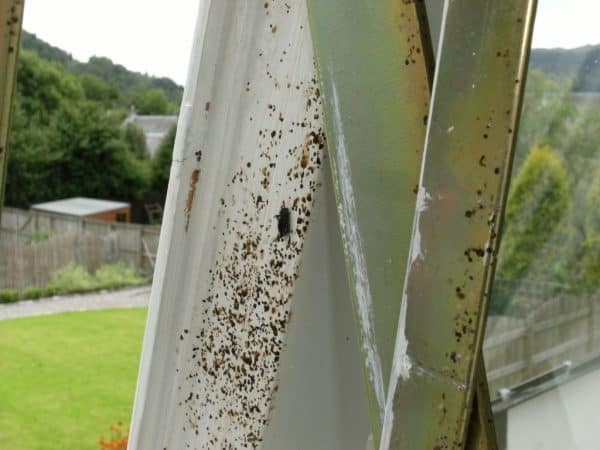 cluster fly control cluster fly control