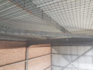 Bird Netting Bird Netting