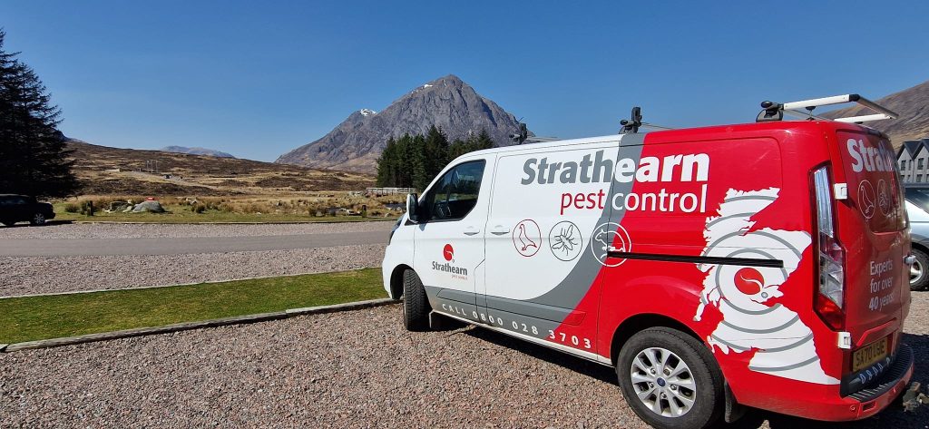 pest control fife